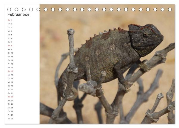 Produktbild: Namibia - Tierische Vielfalt (Planer) (Tischkalender 2026 DIN A5 quer), CALVENDO Monatskalender