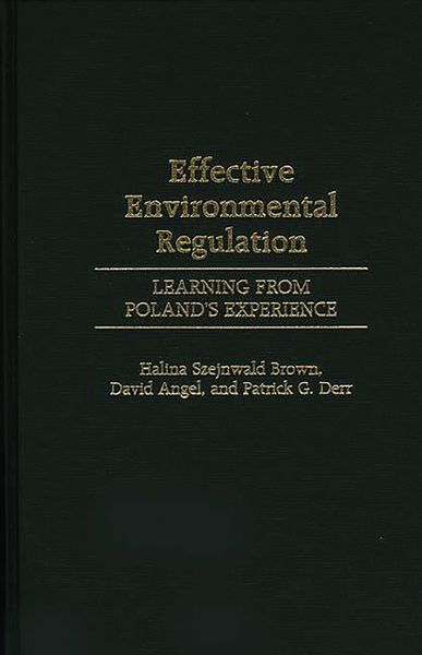 Produktbild: Effective Environmental Regulation