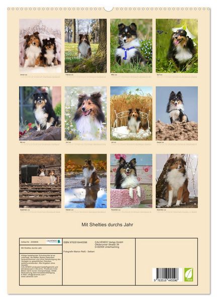 Produktbild: Mit Shelties durchs Jahr (hochwertiger Premium Wandkalender 2026 DIN A2 hoch), Kunstdruck in Hochglanz