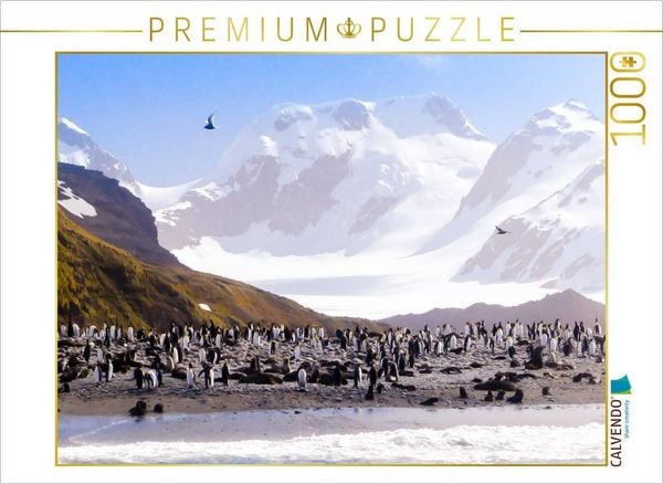 Produktbild: CALVENDO Puzzle Pinguin Kolonie im Naturparadies Antarktis | 1000 Teile Lege-Gr&ouml;&szlig;e 64x48cm Foto-Puzzle f&uuml;r gl&uuml;ckliche Stunden