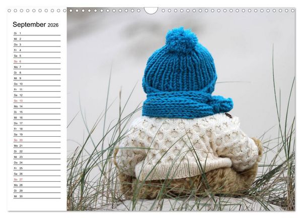 Produktbild: Teddy unterwegs (Wandkalender 2026 DIN A3 quer), CALVENDO Monatskalender