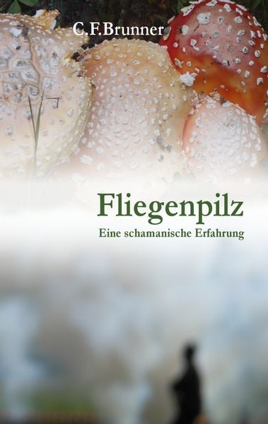 Produktbild: Fliegenpilz