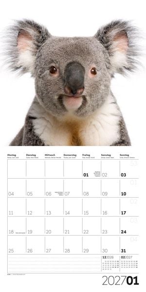 Produktbild: Animals Kalender 2027 - 30x30 - Art12
