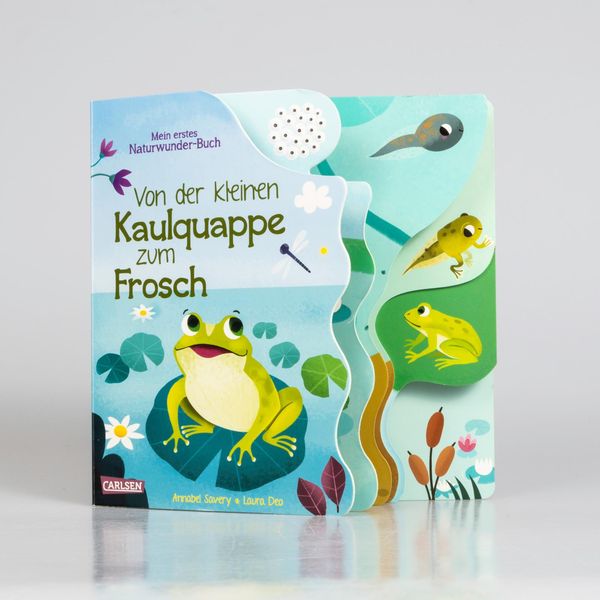 Produktbild: Von der kleinen Kaulquappe zum Frosch