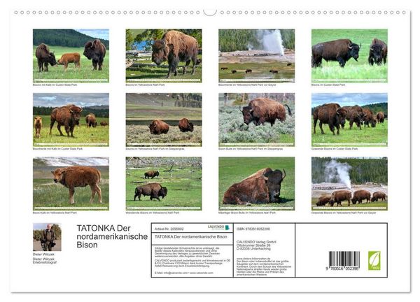 Produktbild: TATONKA Der nordamerikanische Bison (hochwertiger Premium Wandkalender 2026 DIN A2 quer), Kunstdruck in Hochglanz