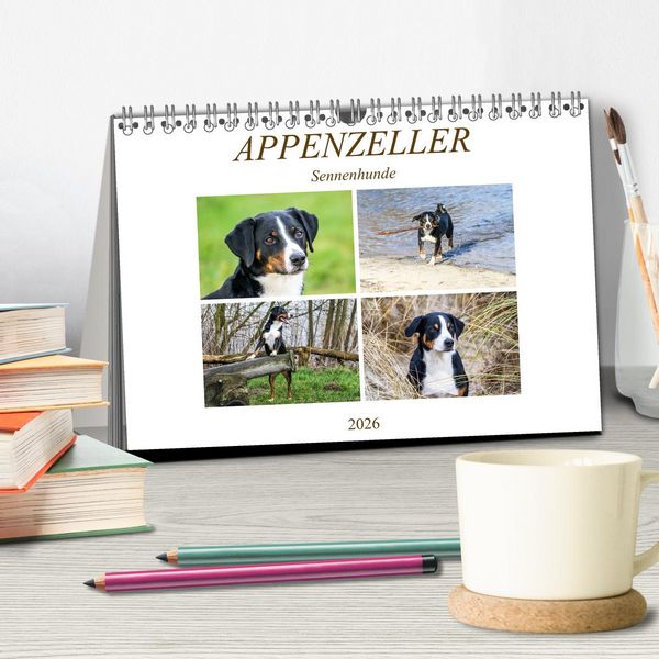 Produktbild: Appenzeller Sennenhunde (Tischkalender 2026 DIN A5 quer), CALVENDO Monatskalender