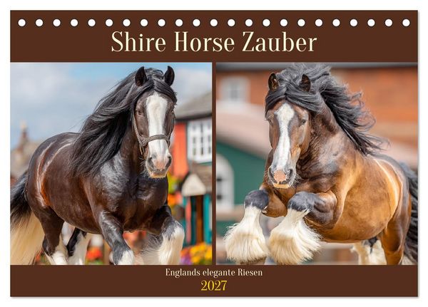 Produktbild: Shire Horse Zauber. Englands elegante Riesen (Tischkalender 2027 DIN A5 quer), CALVENDO Monatskalender