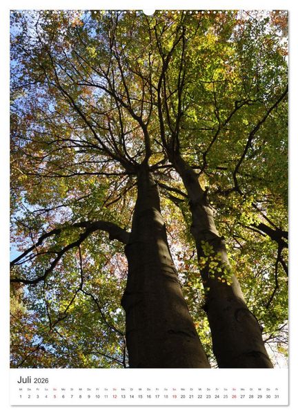 Produktbild: Faszination der Farben im Naturpark Lappwald (Wandkalender 2026 DIN A2 hoch), CALVENDO Monatskalender