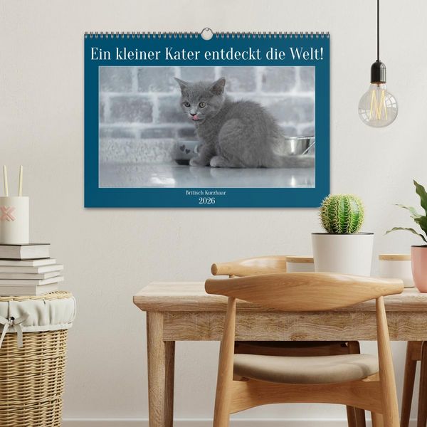 Produktbild: Ein kleiner Kater entdeckt die Welt! (Wandkalender 2026 DIN A3 quer), CALVENDO Monatskalender