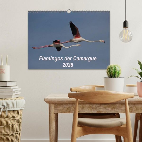 Produktbild: Flamingos der Camargue 2026 (Wandkalender 2026 DIN A3 quer), CALVENDO Monatskalender