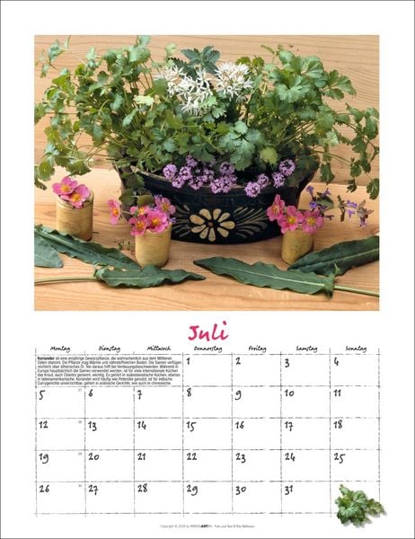 Produktbild: Augenschmaus Kalender 2027 - Gew&uuml;rze und Kr&auml;uter rund ums Jahr