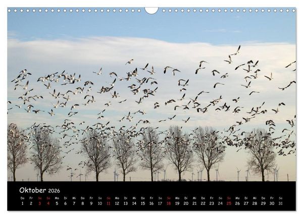Produktbild: Schrei der Wildg&auml;nse (Wandkalender 2026 DIN A3 quer), CALVENDO Monatskalender