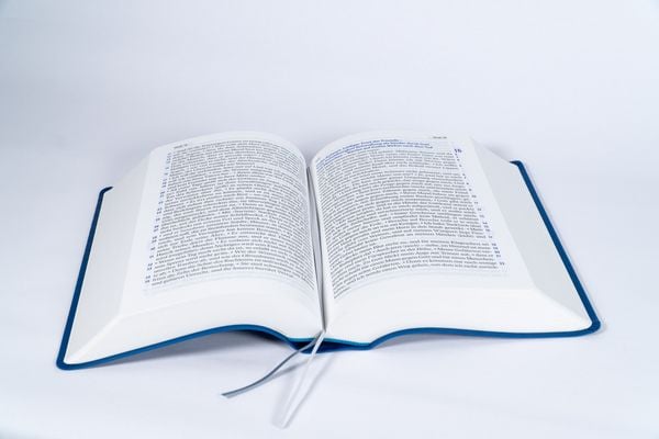 Produktbild: Elberfelder Bibel in gro&szlig;er Schrift, Kunstleder