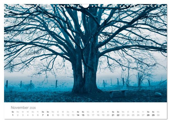 Produktbild: Farbrausch - die Welt in Pastell (Wandkalender 2026 DIN A3 quer), CALVENDO Monatskalender