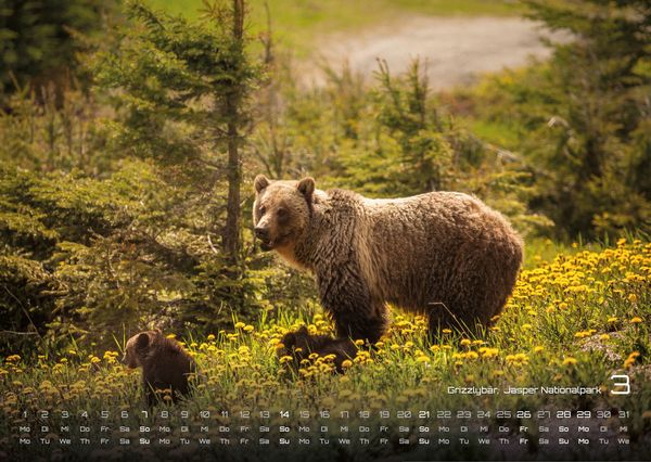 Produktbild: Kanada &ndash; Abenteuer Natur - 2027 - Kalender DIN A3