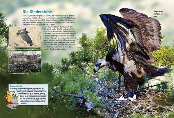 Produktbild: Entdecke die Geier