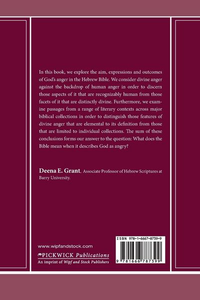 Produktbild: Divine Anger in the Hebrew Bible