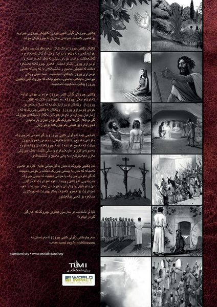 Produktbild: Bible Blossom Storybook, Kurdish