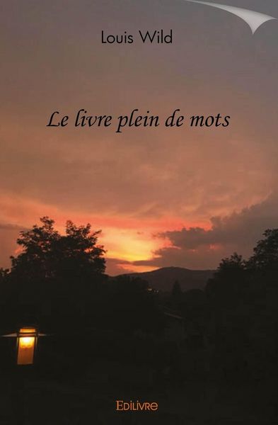 Produktbild: Le livre plein de mots