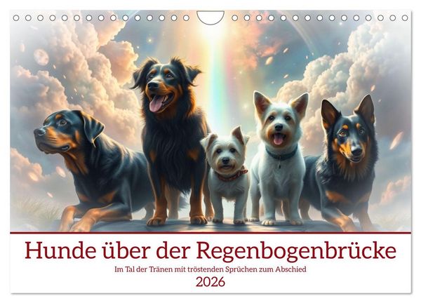 Produktbild: Hunde &uuml;ber der Regenbogenbr&uuml;cke (Wandkalender 2026 DIN A4 quer), CALVENDO Monatskalender