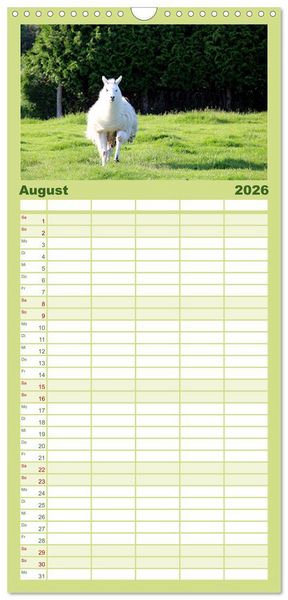 Produktbild: Familienplaner 2026 - Lama-Kalender mit 5 Spalten (Wandkalender, 21 x 45 cm) CALVENDO