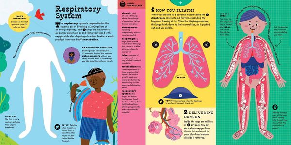 Produktbild: The Interactive Human Body
