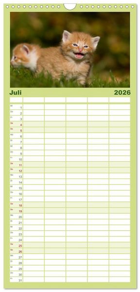 Produktbild: Familienplaner 2026 - L&auml;chelnd durchs Jahr - Katzenkinder -Familienplaner hoch mit 5 Spalten (Wandkalender, 21 x 45 cm) CALVENDO