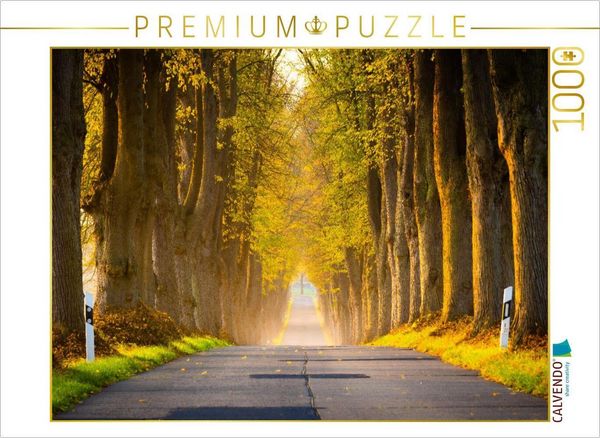 CALVENDO Puzzle Herbstmorgen auf Insel Usedom | 1000 Teile Lege-Größe 64x48cm Foto-Puzzle für glückliche Stunden