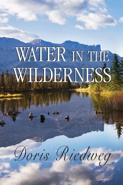 Produktbild: Water in the Wilderness