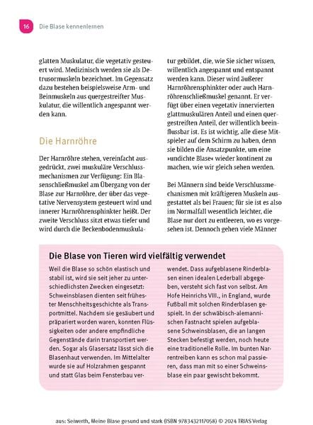 Produktbild: Meine Blase gesund und stark