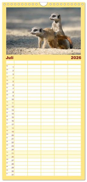 Produktbild: Familienplaner 2026 - Lustige Erdm&auml;nnchen mit 5 Spalten (Wandkalender, 21 x 45 cm) CALVENDO