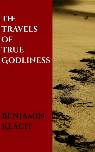 Produktbild: The Travels of the True Godliness