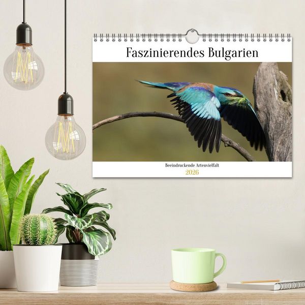 Produktbild: Faszinierendes Bulgarien (Wandkalender 2026 DIN A4 quer), CALVENDO Monatskalender