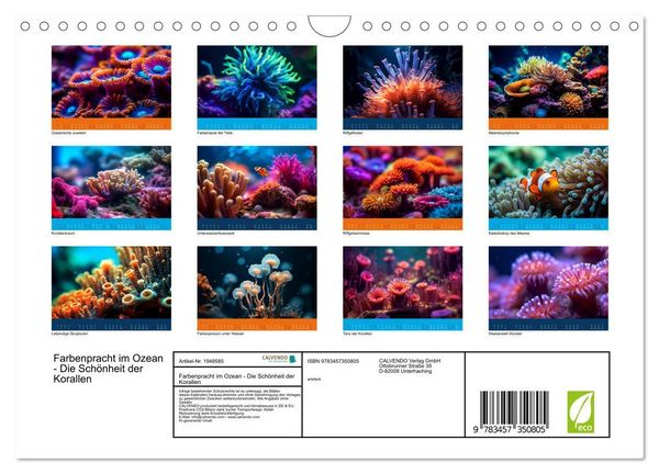 Produktbild: Farbenpracht im Ozean - Die Sch&ouml;nheit der Korallen (Wandkalender 2026 DIN A4 quer), CALVENDO Monatskalender