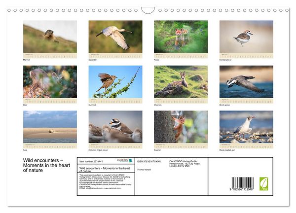 Produktbild: Wild encounters &ndash; Moments in the heart of nature (Wall Calendar 2026 DIN A3 landscape), CALVENDO 12 Month Wall Calendar