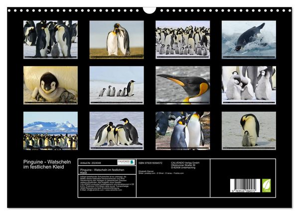 Produktbild: Pinguine - Watscheln im festlichen Kleid (Wandkalender 2026 DIN A3 quer), CALVENDO Monatskalender