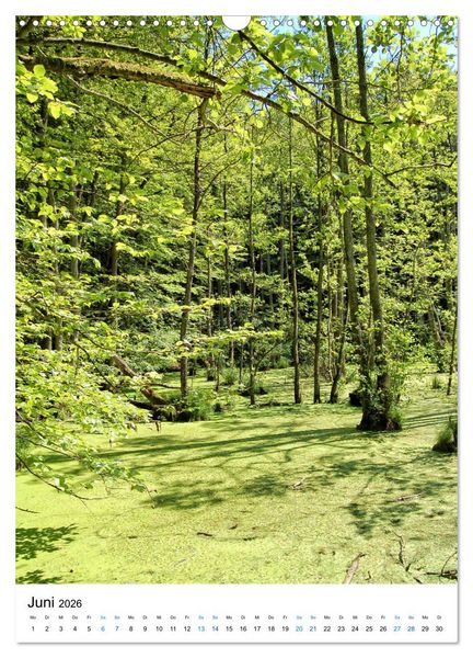 Produktbild: Insel R&uuml;gen - Kreide, Landschaft, Leuchtt&uuml;rme (Wandkalender 2026 DIN A3 hoch), CALVENDO Monatskalender