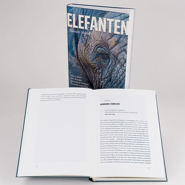 Produktbild: Elefanten