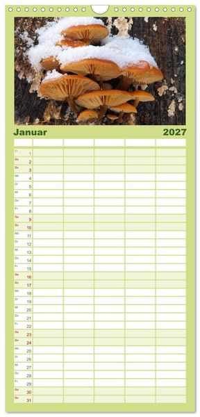 Produktbild: Familienplaner 2027 - Pilzkalender mit 5 Spalten (Wandkalender, 21 x 45 cm) CALVENDO