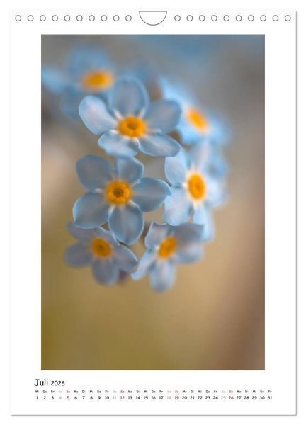 Produktbild: Blauer Bl&uuml;tenzauber (Wandkalender 2026 DIN A4 hoch), CALVENDO Monatskalender