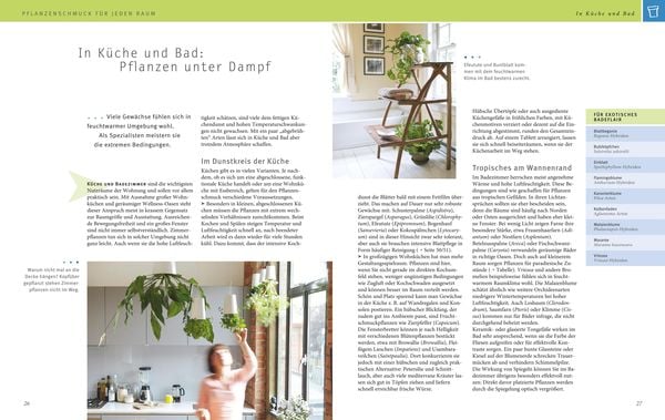 Produktbild: Zimmerpflanzen