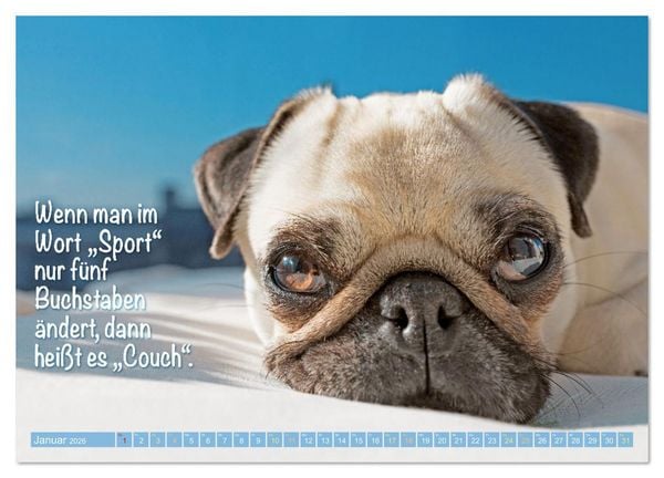 Produktbild: L&auml;cheln mit Mops (Wandkalender 2026 DIN A4 quer), CALVENDO Monatskalender