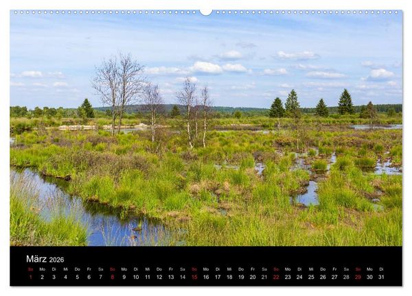 Produktbild: HOHES VENN - Einblicke in ein Hochmoor (hochwertiger Premium Wandkalender 2026 DIN A2 quer), Kunstdruck in Hochglanz