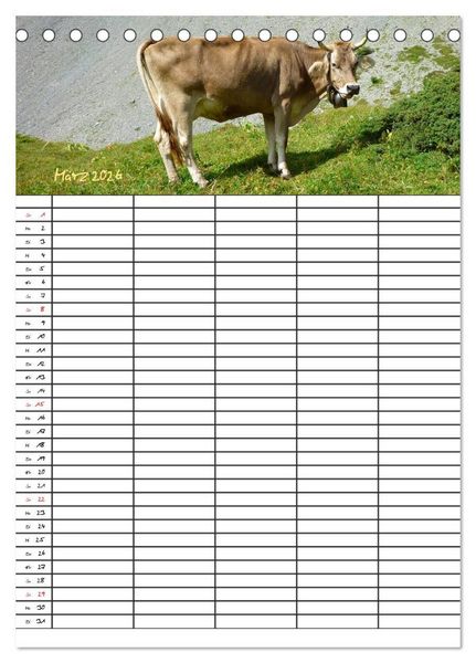 Produktbild: Bauernhoftiere Familienplaner (Tischkalender 2026 DIN A5 hoch), CALVENDO Monatskalender