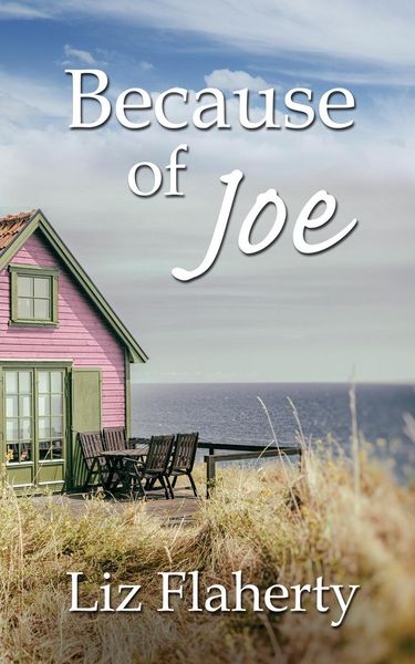 Produktbild: Because of Joe