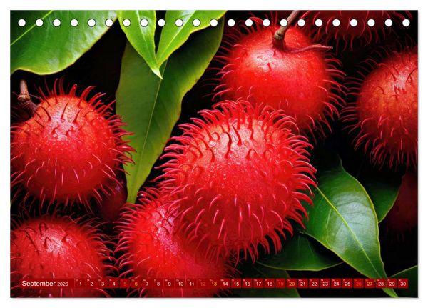 Produktbild: ROT - Gem&uuml;se und Obst - Voller Power (Tischkalender 2026 DIN A5 quer), CALVENDO Monatskalender