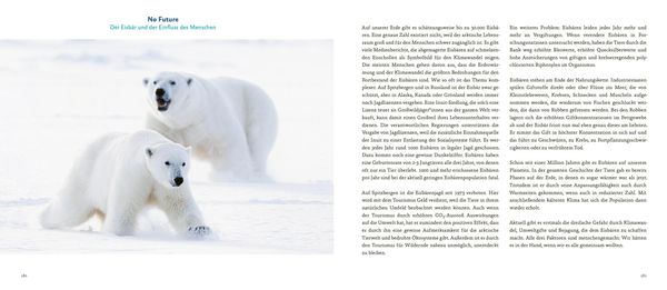Produktbild: Spitzbergen