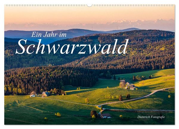 Ein Jahr im Schwarzwald (Wandkalender 2024 DIN A2 quer), CALVENDO Monatskalender
