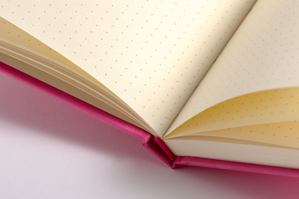 Produktbild: Anaconda Notizbuch/Notebook/Blank Book, punktiert, textiles Gummiband, pink, Hardcover (A5), 120g/m&sup2; Papier
