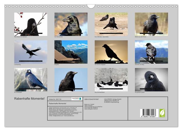 Produktbild: Rabenhafte Momente! (Wandkalender 2026 DIN A3 quer), CALVENDO Monatskalender